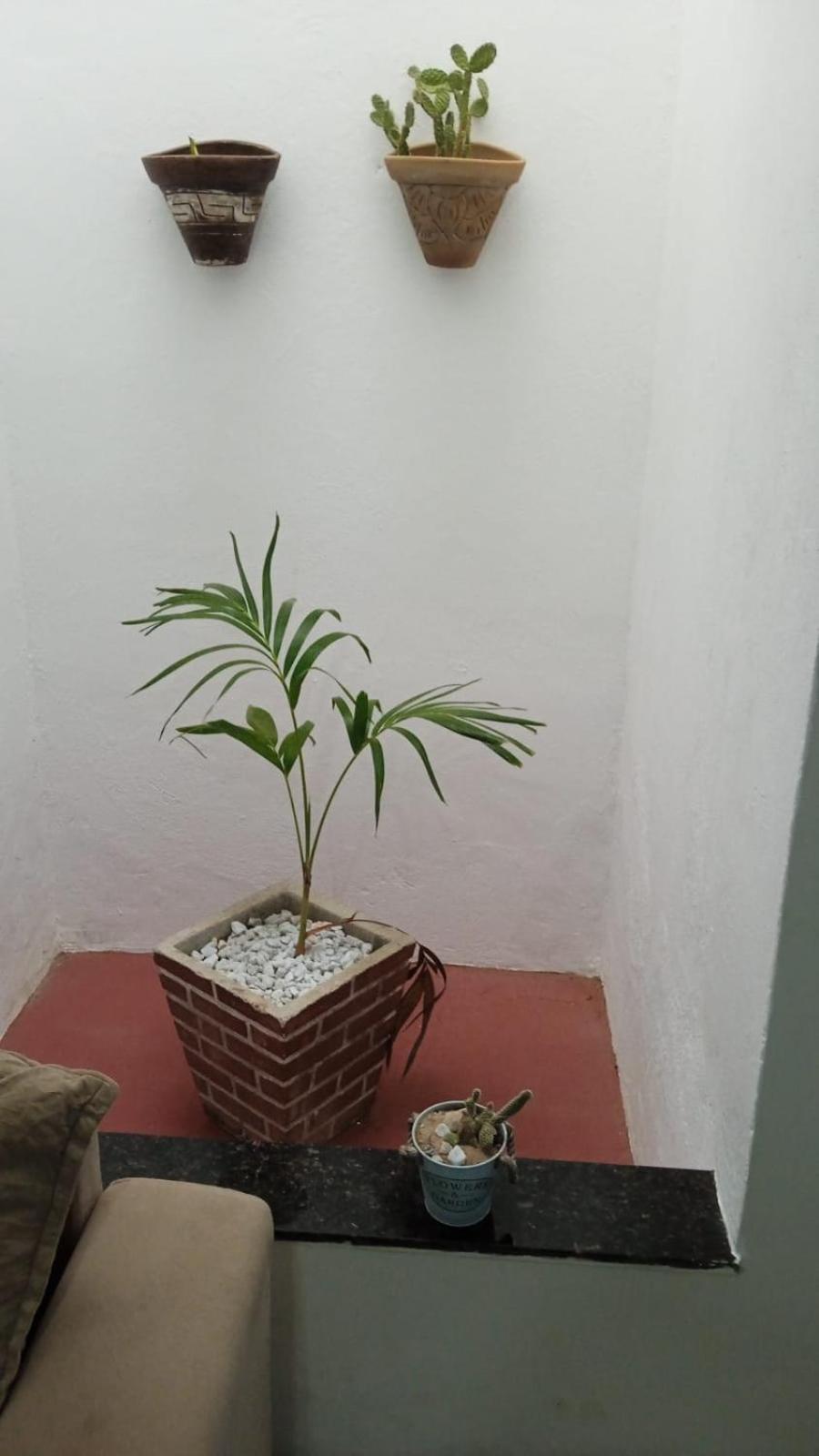 Casa Md Vila Camocim Exterior foto